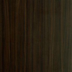 ModernWood Texture