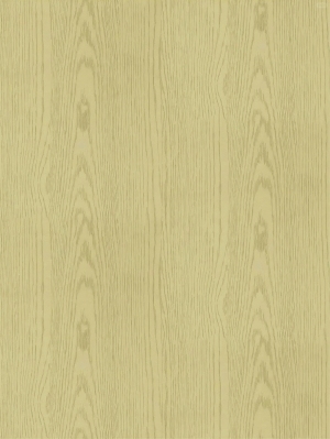 ModernWood Texture