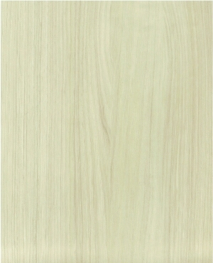 ModernWood Texture