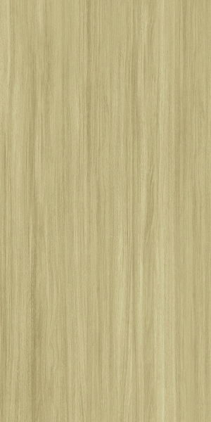 ModernWood Texture