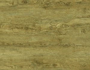 ModernWood Texture