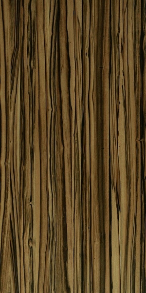 ModernWood Texture