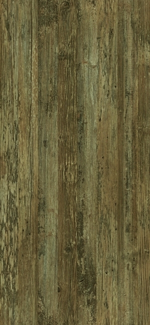ModernWood Texture
