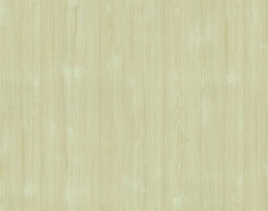 ModernWood Texture