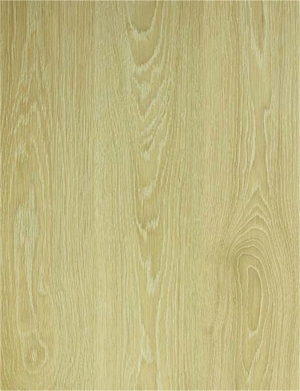 ModernWood Texture