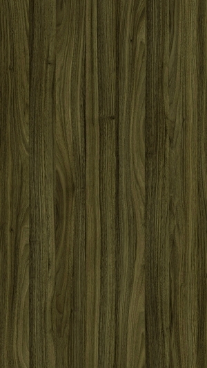 ModernWood Texture