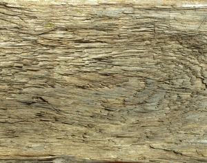 ModernWood Texture