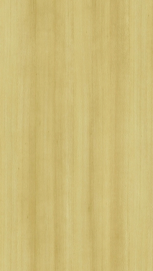 ModernWood Texture