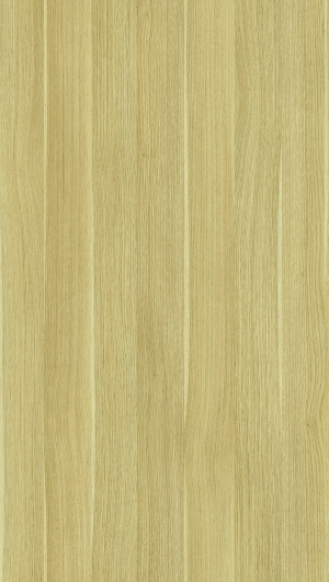 ModernWood Texture