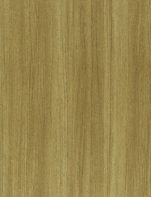 ModernWood Texture