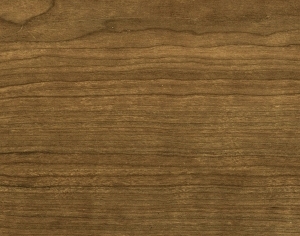 ModernWood Texture