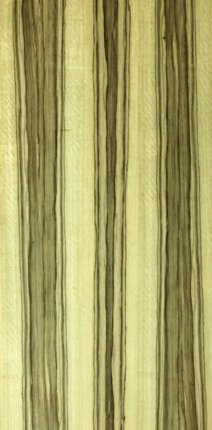 ModernWood Texture