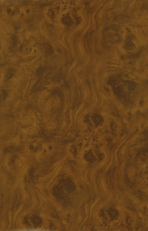ModernWood Texture