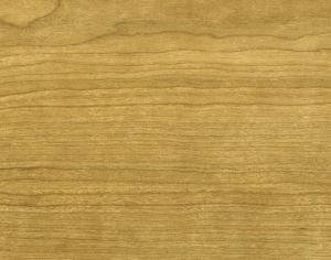 ModernWood Texture