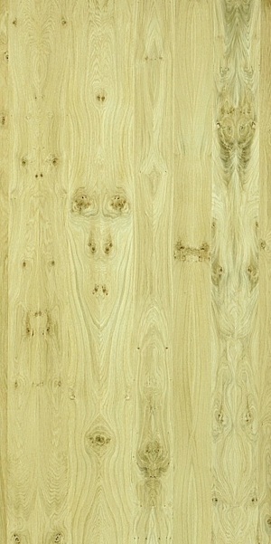 ModernWood Texture