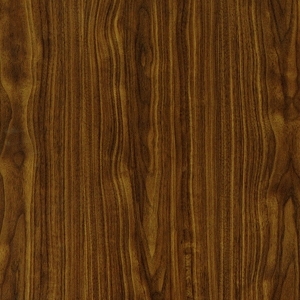 ModernWood Texture