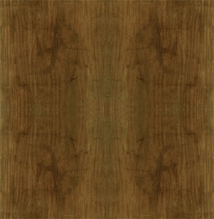ModernWood Texture