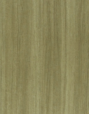 ModernWood Texture