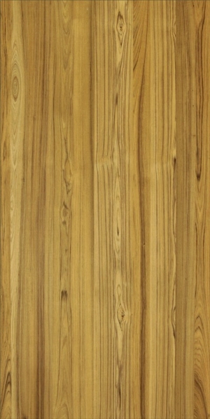 ModernWood Texture