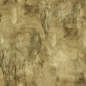 ModernWood Texture