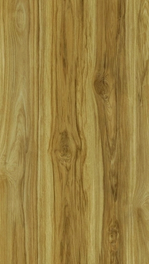 ModernWood Texture