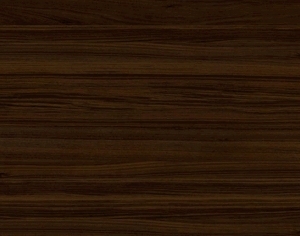ModernWood Texture