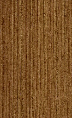 ModernWood Texture