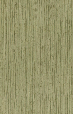 ModernWood Texture