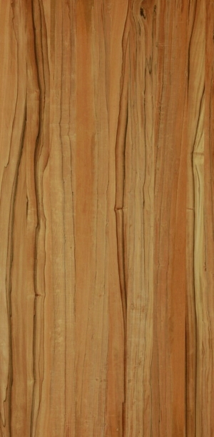 ModernWood Texture