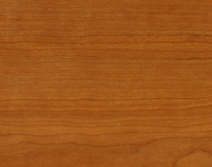 ModernWood Texture