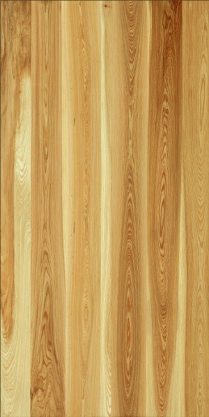 ModernWood Texture