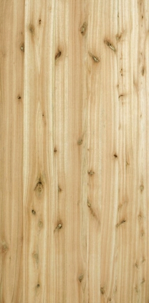 ModernWood Texture