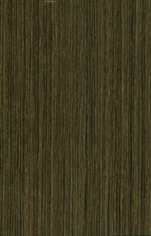ModernWood Texture