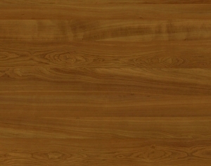 ModernWood Texture