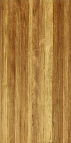 ModernWood Texture