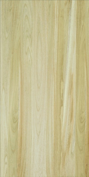 ModernWood Texture