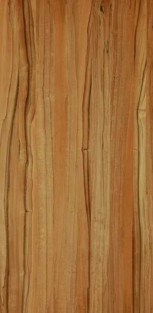 ModernWood Texture
