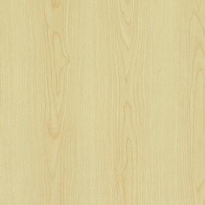 ModernWood Texture