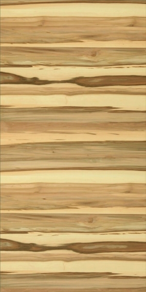 ModernWood Texture