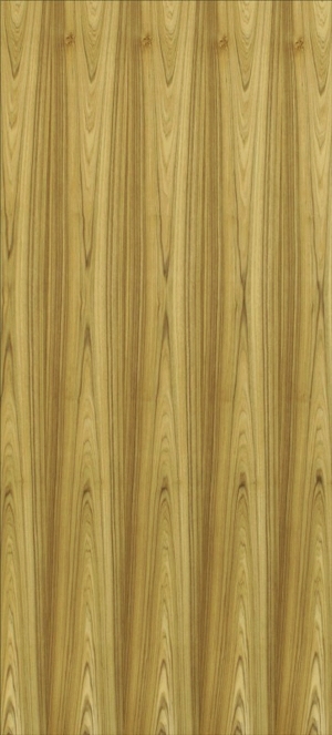 ModernWood Texture
