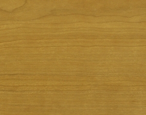 ModernWood Texture