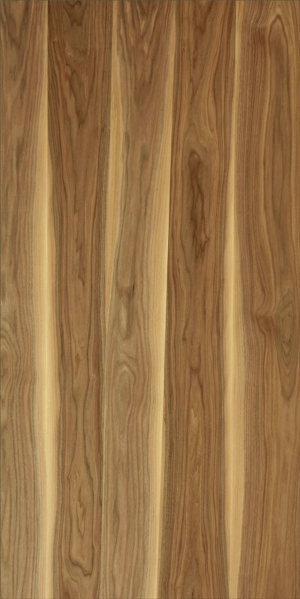 ModernWood Texture