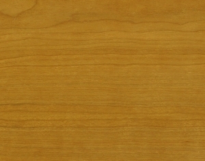 ModernWood Texture