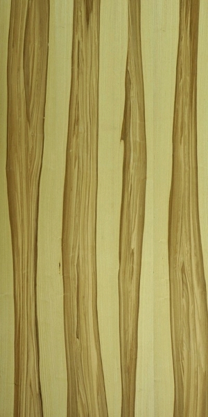 ModernWood Texture