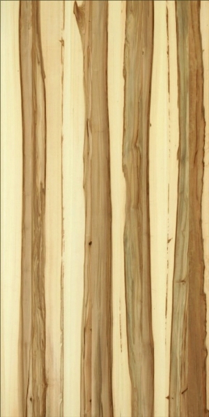 ModernWood Texture