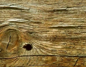 ModernWood Texture