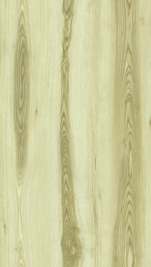 ModernWood Texture