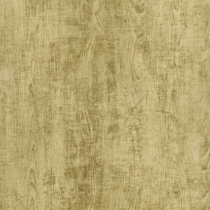 ModernWood Texture