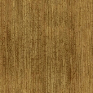 ModernWood Texture