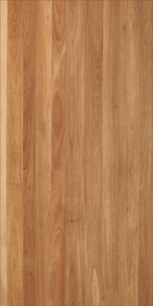 ModernWood Texture